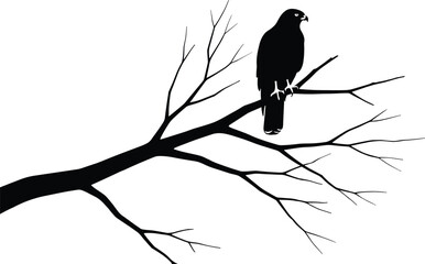 Raptor on bare branch silhouette illustration, minimalist wildlife artwork, nature and solitude concept, dramatic bird and tree icon design