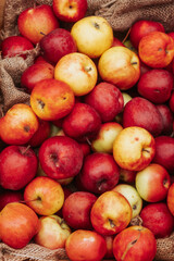 Autumn Fruits in a basket 