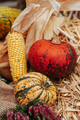 Autumn decoration and vegetables in upperaustria