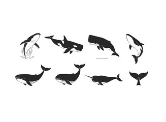 Fototapeta premium Diverse Whale Silhouettes Collection.