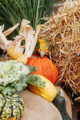 Autumn decoration and vegetables in upperaustria