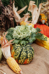 Autumn decoration and vegetables in upperaustria
