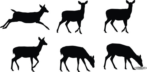 Deer silhouette vector set in various poses, black animal illustration for wildlife design, nature icon, grazing and educational use