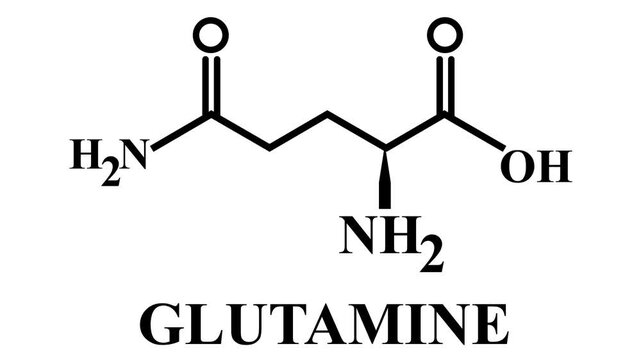 Glutamine Molecular Structure Displayed on White Backgrounds 4k animation