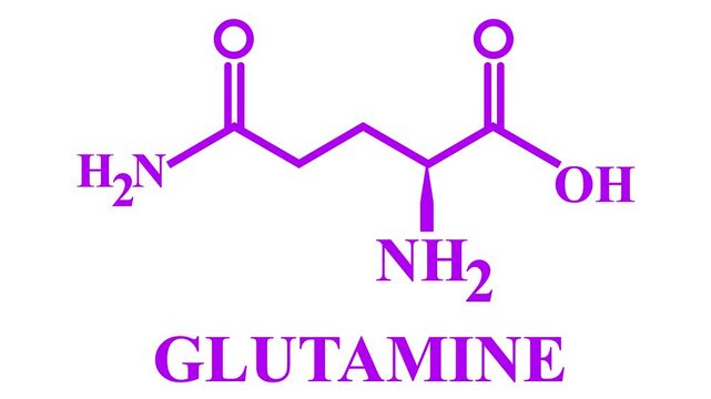 Glutamine Molecular Structure Displayed on White Backgrounds 4k animation