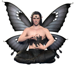3D rendered male fantasy character as a dark butterfly isolated on transparent background