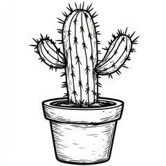 Hand drawn illustration of a cactus in a pot isolated on white background for graphic design purposes