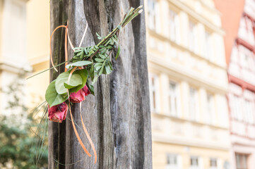 Rose am Mahnmal Hexenverfolgung Detail Maria Holl Brunnen aus Eichenholz am Weinmarkt in Nördlingen