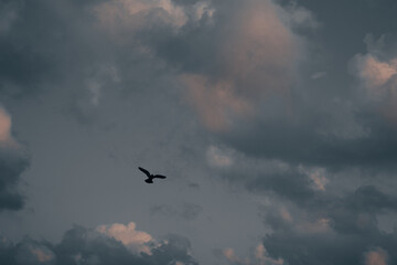 Where peace meets the earth