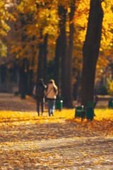 Fototapeta premium Couples stroll hand in hand through a beautiful autumn park covered in vibrant golden leaves during a sunny afternoon