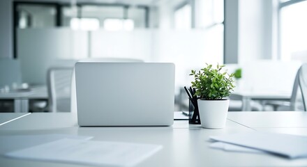Modern office desk with laptop and potted plant in bright natural light
