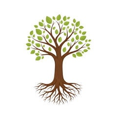 Naklejka premium Tree with Roots and Leaves