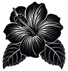 Elegant black and white hibiscus illustration, showcasing a detailed rose-mallow flower with delicate patterned petals in a classic monochrome graphic design © Jannatul jui