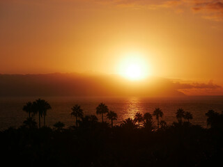 Sunset Over La Gomera island. View from Tenerife with Dramatic Clouds and Silhouetted Palms