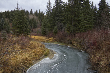 Cold, Cloudy Autumn Day at Whitemud Park