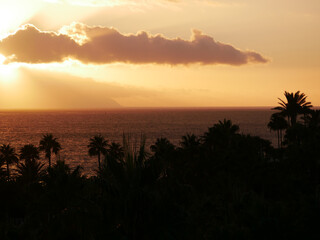 Golden Sunset Over the Ocean with Palm Silhouettes on Tenerife