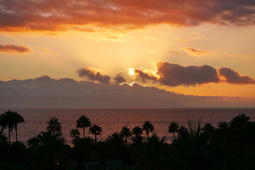 Sunset Over La Gomera island. View from Tenerife with Dramatic Clouds and Silhouetted Palms