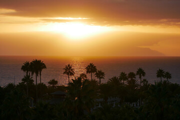 Sunset Over La Gomera island. View from Tenerife with Dramatic Clouds and Silhouetted Palms