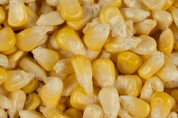 Macro Texture Of Raw Corn Kernels Top View.