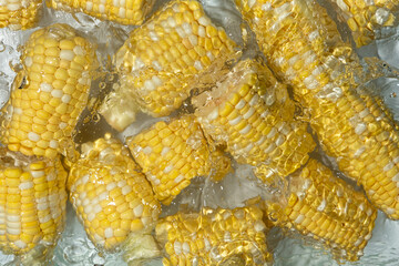 Aesthetic summer bright background of fresh ripe corn cob in water.