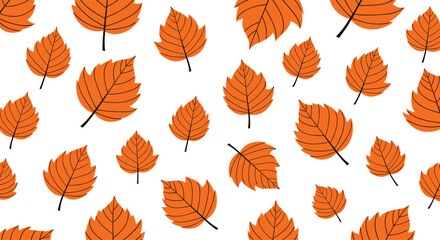 Obraz premium Autumn leaves pattern in orange shades and white background.