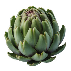 Obraz premium Water Droplets on Artichoke vegetable food