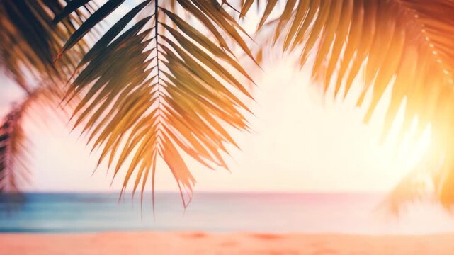 Sunlight through palm trees on seaside