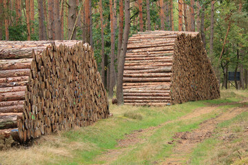 Holzpolter mit Industrieholz am Waldrand