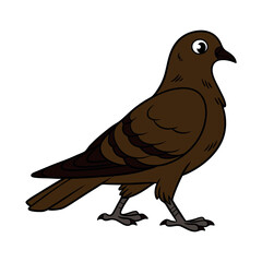 dove vector illustration