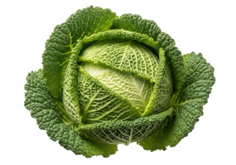 Green leafy vegetable head isolated on a transparent background