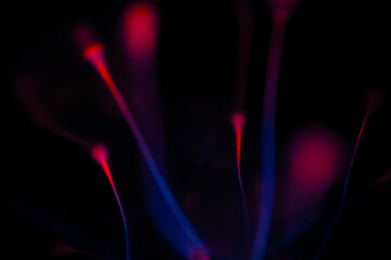 Vivid electric blue and red arcs leap from the core of a plasma lamp, creating a dazzling display of energy against a pitch-black background.