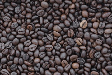 Coffee bean background in detail. Very big amount of brown coffee beans