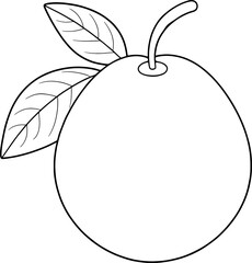 Outline drawing of guava fruit with leaves perfect for culinary art healthy food illustrations and natural botanical design projects