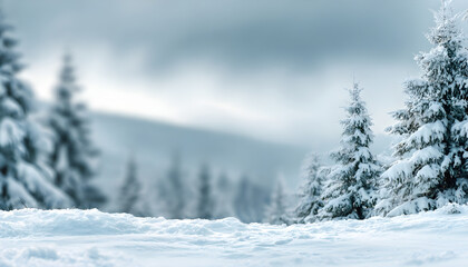 Obraz premium Winter landscape with fresh white snow and copy space for product placement or text. Blurred snow-covered trees and cloudy winter sky background
