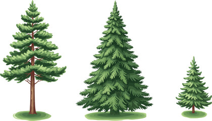 Evergreen Tree Silhouette Vector Set Featuring Three Unique Conifer Shapes for Nature, Landscape, Garden, and Environmental Illustration Use