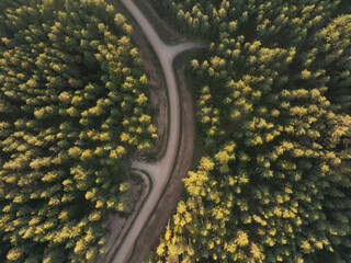 Forest road from birds flight