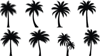 Palm Tree Silhouette Collection with Diverse Tropical Shapes, Curved Trunks, Botanical Variations, Black Vector Icons for Nature, Landscape, and Design