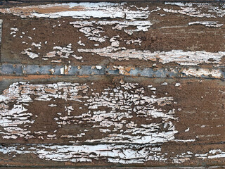 Obraz premium Close-up of weathered wood with peeling white paint and a rusted metal strip, revealing aged textures and natural decay.