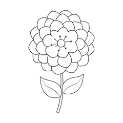 Beautiful hydrangea flower coloring page featuring clusters of delicate blooms and lush leaves. Perfect for relaxing, creative coloring and floral art enthusiasts.
