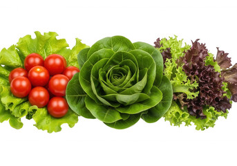 Fresh salad greens and tomatoes isolated on a transparent background
