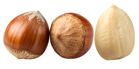 Three hazelnuts one shelled one partially shelled one whole on black filbert food