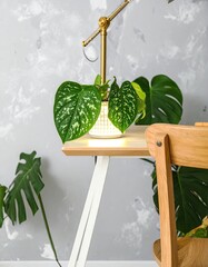 Minimalist Desk Setup with LED Lights and Houseplant in Cozy Dorm Room