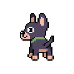 Pixel art a cute chihuahua dog vector in retro style