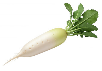 White daikon root with green leaves isolated on a transparent background