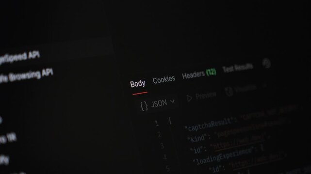Dark mode computer screen displaying JSON data structure and API response details within a web development interface, focusing on backend programming and analysis