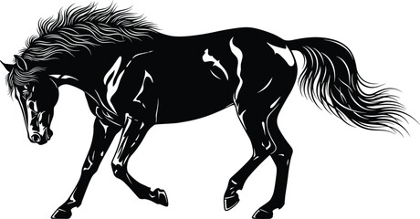 Black and white horse illustration, dynamic pose, elegant stallion art, flowing mane, muscular detail, realistic sketch, equine drawing, graceful motion