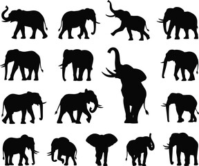 Elephant silhouette collection, wildlife animal shapes, black elephant poses, trunk raised, walking elephant, standing elephant, nature design, educational use
