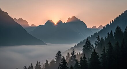 Sunrise over a misty mountain range with pine trees in the foreground.