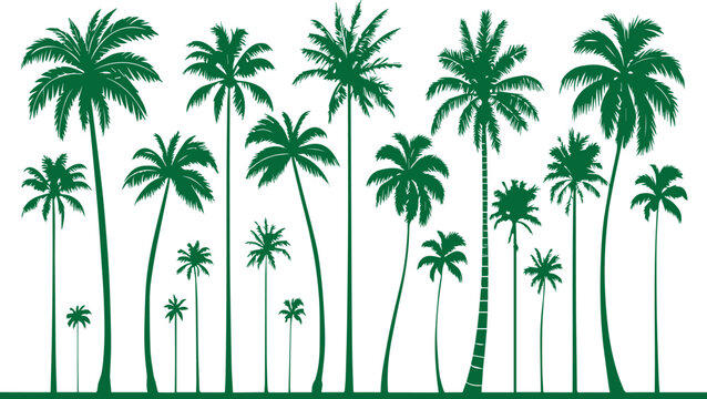 Tropical palm tree silhouettes against white background design element vector