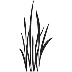 Bushes and grass landscape with natural green foliage and wild plants.